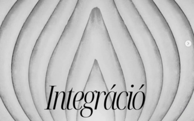 Integráció – megértéstől a megvalósításig