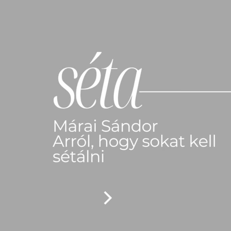 Befelevezet-Blog-seta